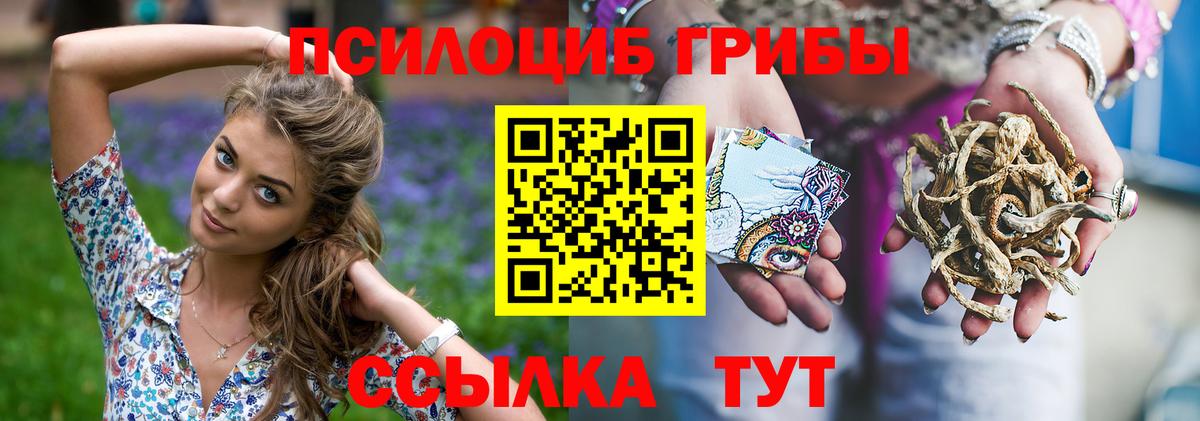 Псилоцибиновые грибы ЛСД Чистополь